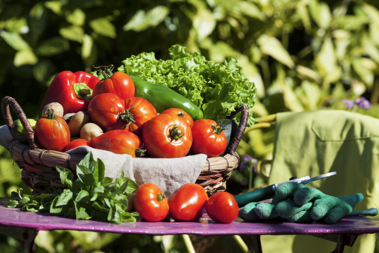 5 Vegetais Compactos que Você Pode Cultivar Mesmo em Espaços Super Pequenos