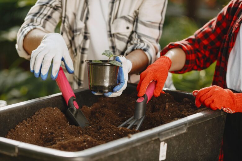 Como Escolher as Melhores Técnicas de Cultivo para o Seu Jardim Urbano