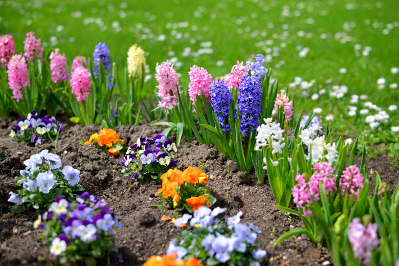 Ervas Aromáticas para o Seu Jardim Urbano Como Cultivar e Usar no Dia a Dia