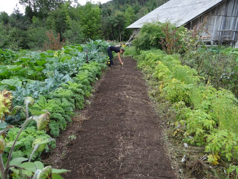 Maximize Sua Horta Urbana Técnicas de Cultivo para Espaços Pequenos