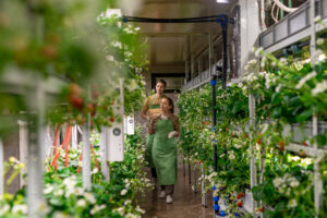 A Solução Perfeita para Cultivar na Cidade sem Espaço