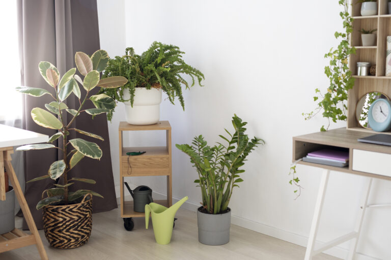 Titulo: Planta de Apartamento Pequeno: Como Escolher e Cuidar de Plantas em Ambientes Compactos
