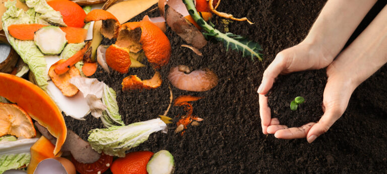 Como fazer compostagem doméstica: Um guia completo para iniciante