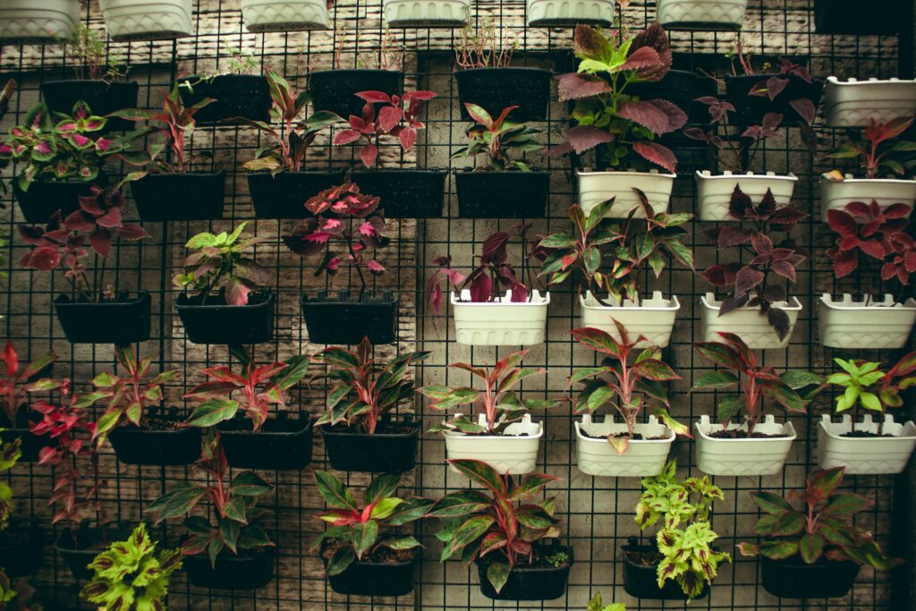 horta vertical